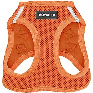 Best Pet Supplies Voyager Step-in Air Dog Harness, Orange with Matching Trim, X-Small