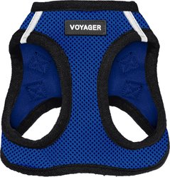 Best Pet Supplies Voyager Step-in Air Dog Harness, Royal Blue Base, Large