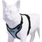Show in main carousel: Best Pet Supplies Voyager Step-in Lock Dog Harness, Baby Blue Base, Large slide 4 of 6