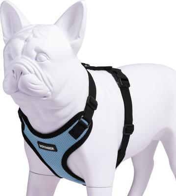 Show full view: Best Pet Supplies Voyager Step-in Lock Dog Harness, Baby Blue Base, Large slide 4 of 6