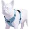 Show in main carousel: Best Pet Supplies Voyager Step-in Lock Dog Harness, Baby Blue with Matching Trim, Small slide 3 of 5