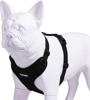 Show full view: Best Pet Supplies Voyager Step-in Lock Dog Harness, Black, Small slide 3 of 5