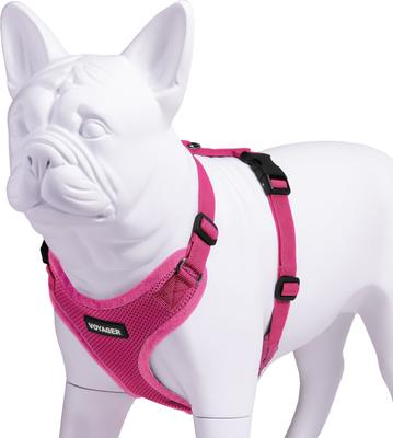 Show full view: Best Pet Supplies Voyager Step-in Lock Dog Harness, Fuchsia with Matching Trim, X-Small slide 3 of 5