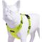 Show in main carousel: Best Pet Supplies Voyager Step-in Lock Dog Harness, Lime Green with Matching Trim, Medium slide 4 of 6