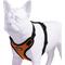 Show in main carousel: Best Pet Supplies Voyager Step-in Lock Dog Harness, Orange, Medium slide 3 of 5