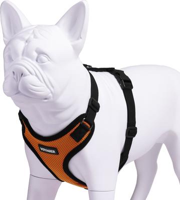 Show full view: Best Pet Supplies Voyager Step-in Lock Dog Harness, Orange, Medium slide 3 of 5