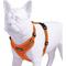 Show in main carousel: Best Pet Supplies Voyager Step-in Lock Dog Harness, Orange with Matching Trim, Small slide 3 of 5