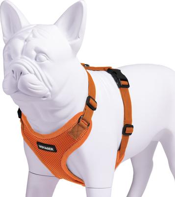 Show full view: Best Pet Supplies Voyager Step-in Lock Dog Harness, Orange with Matching Trim, Small slide 3 of 5