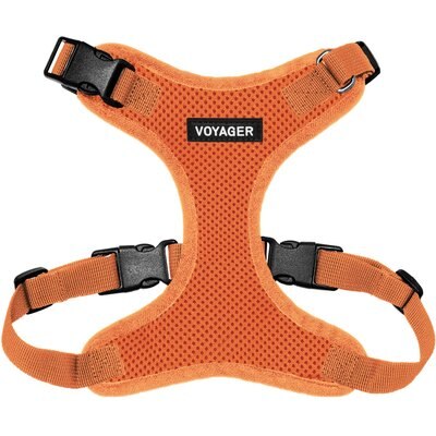 Best Pet Supplies Best Pet Supplies Voyager Step-in Lock Dog Harness, Orange with Matching Trim, X-Large