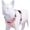 Show in main carousel: Best Pet Supplies Voyager Step-in Lock Dog Harness, Pink with Matching Trim, X-Small slide 3 of 5