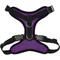 Show in main carousel: Best Pet Supplies Voyager Step-in Lock Dog Harness, Purple, Large slide 2 of 5