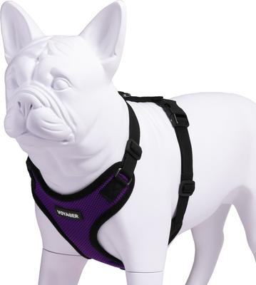 Show full view: Best Pet Supplies Voyager Step-in Lock Dog Harness, Purple, Large slide 3 of 5