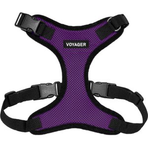 Best Pet Supplies Voyager Step-in Lock Dog Harness, Purple, Small