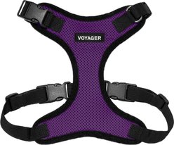 Best Pet Supplies Voyager Step-in Lock Dog Harness, Purple, X-Large