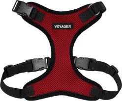Best Pet Supplies Voyager Step-in Lock Dog Harness, Red, Large