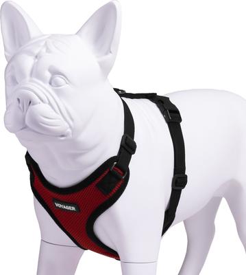 Show full view: Best Pet Supplies Voyager Step-in Lock Dog Harness, Red, Medium slide 4 of 6