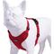 Show in main carousel: Best Pet Supplies Voyager Step-in Lock Dog Harness, Red with Matching Trim, Small slide 3 of 5