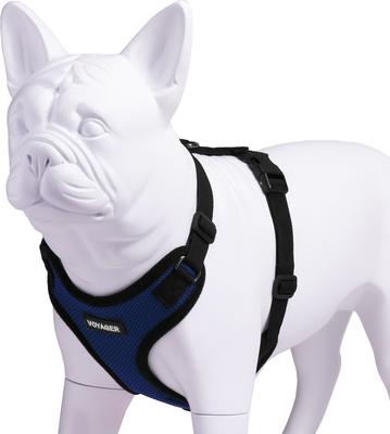 Show full view: Best Pet Supplies Voyager Step-in Lock Dog Harness, Royal Blue, Medium slide 3 of 5
