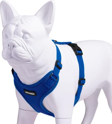 Show full view: Best Pet Supplies Voyager Step-in Lock Dog Harness, Royal Blue with Matching Trim, Large slide 3 of 5