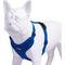 Show in main carousel: Best Pet Supplies Voyager Step-in Lock Dog Harness, Royal Blue with Matching Trim, Small slide 3 of 5