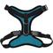 Show in main carousel: Best Pet Supplies Voyager Step-in Lock Dog Harness, Turquoise, Medium slide 2 of 5