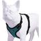 Show in main carousel: Best Pet Supplies Voyager Step-in Lock Dog Harness, Turquoise, Medium slide 3 of 5