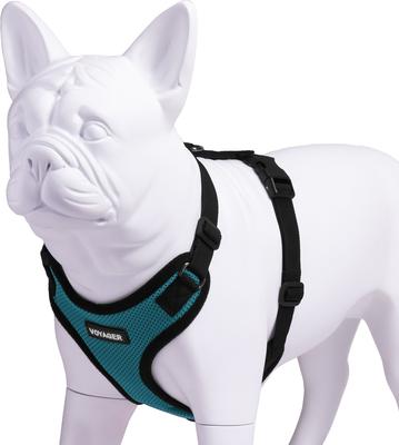 Show full view: Best Pet Supplies Voyager Step-in Lock Dog Harness, Turquoise, Medium slide 3 of 5