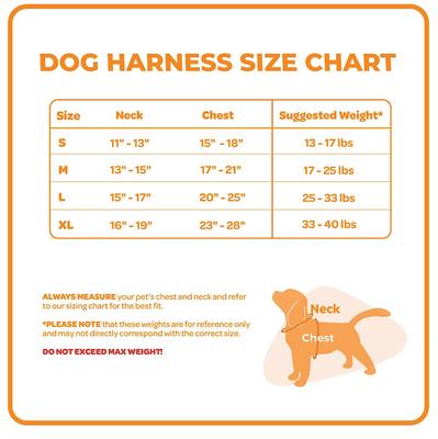 Show full view: Best Pet Supplies Voyager Step-in Lock Dog Harness, Turquoise, Medium slide 4 of 5