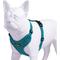 Show in main carousel: Best Pet Supplies Voyager Step-in Lock Dog Harness, Turquoise with Matching Trim, Medium slide 3 of 5