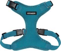 Best Pet Supplies Voyager Step-in Lock Dog Harness, Turquoise with Matching Trim, Small