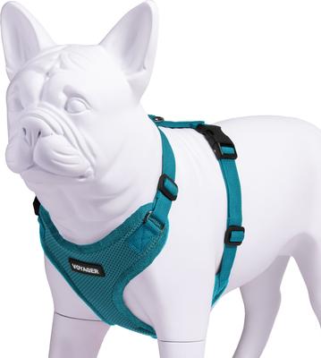 Show full view: Best Pet Supplies Voyager Step-in Lock Dog Harness, Turquoise with Matching Trim, Small slide 3 of 5