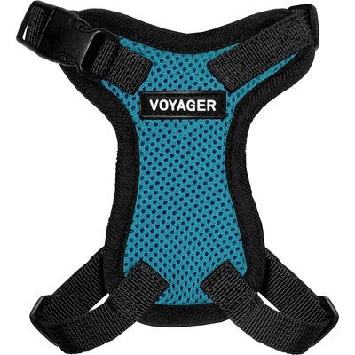 Best Pet Supplies Best Pet Supplies Voyager Step-in Lock Dog Harness, Turquoise, XX-Small