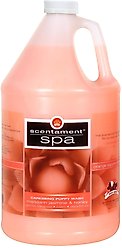 Best Shot Scentament Spa Mandarin Jasmine Honey Puppy Shampoo, 1-gal bottle