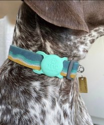Besties Adventure Dog AirTag Holder, Aqua slide 2 of 5