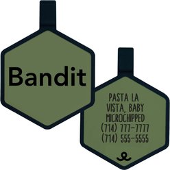 Besties Jingle-Free Silicone Dog ID Tag, Sage