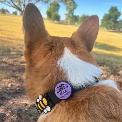 Show full view: Besties Life Is A Beach Design Slide-On Jingle-Free Silicone Cat & Dog ID Tag with AirTag Holder, Sage slide 5 of 8