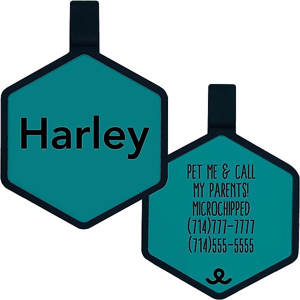 Show full view: Besties Mini Jingle-Free Silicone Cat & Dog ID Tag, Turquoise slide 1 of 9