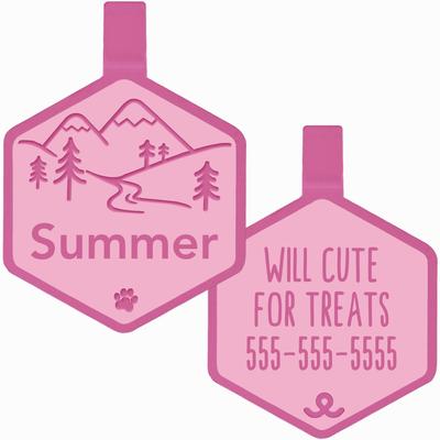 Show full view: Besties Mini Mountain Adventure Design Jingle-Free Silicone Cat & Dog ID Tag, Flamingo Pink slide 1 of 9