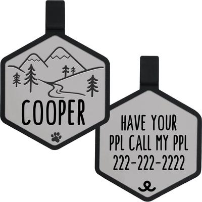 Show full view: Besties Mini Mountain Adventure Design Jingle-Free Silicone Cat & Dog ID Tag, Grey slide 1 of 9