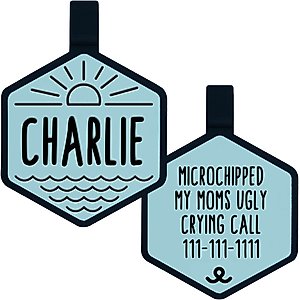 Besties Mini Salt & Sun Design Jingle-Free Silicone Cat & Dog ID Tag, Sky Blue
