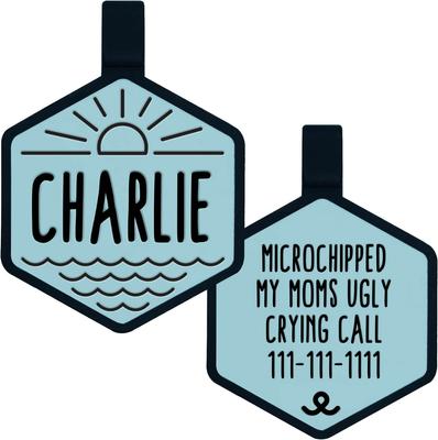 Show full view: Besties Mini Salt & Sun Design Jingle-Free Silicone Cat & Dog ID Tag, Sky Blue slide 1 of 10