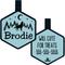 Show in main carousel: Besties Mini Stay Wild Design Jingle-Free Silicone Cat & Dog ID Tag, Sky Blue slide 1 of 10