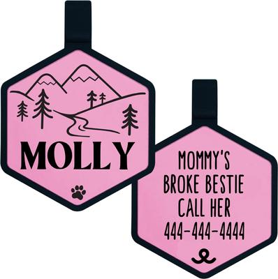 Show full view: Besties Mountain Adventure Design Jingle-Free Silicone Dog ID Tag, Blush Pink slide 1 of 9