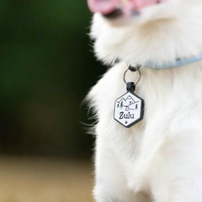 Show full view: Besties Mountain Adventure Design Jingle-Free Silicone Dog ID Tag, Grey slide 7 of 10