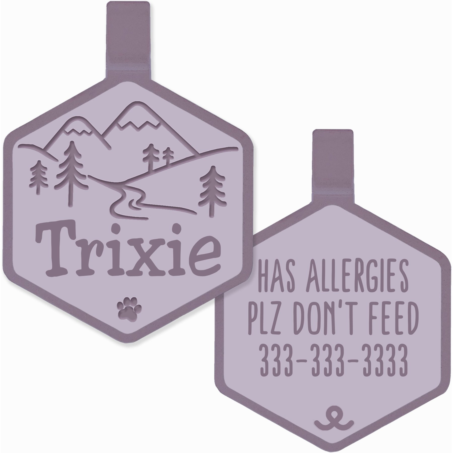 Besties Mountain Adventure Design Jingle-Free Silicone Dog ID Tag, Heather Purple