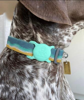 Show full view: Besties Mountain Design Silicone Customized Cat & Dog Collar AirTag Holder, Blush Pink slide 4 of 5