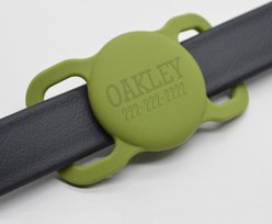 Besties Name Only Dog AirTag Holder, Grey slide 2 of 5