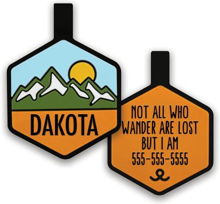 Show full view: Besties Pup's Peak Mountain Design Jingle-Free Silicone Dog ID Tag, Alpine Meadow slide 1 of 10