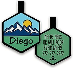 Besties Pup's Peak Mountain Design Jingle-Free Silicone Dog ID Tag, Blue Ridge