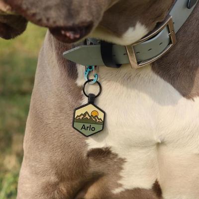 Show full view: Besties Pup's Peak Mountain Design Jingle-Free Silicone Dog ID Tag, Blue Ridge slide 7 of 9
